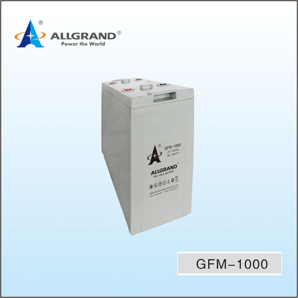 GFM-1000